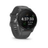 Garmin Forerunner 255, Slate Grey